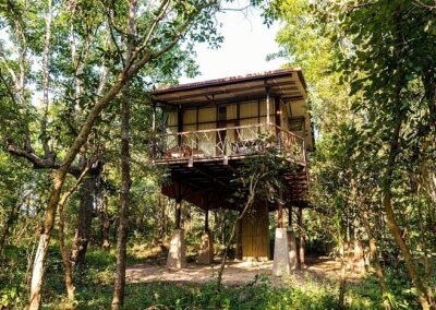 jungle-camp